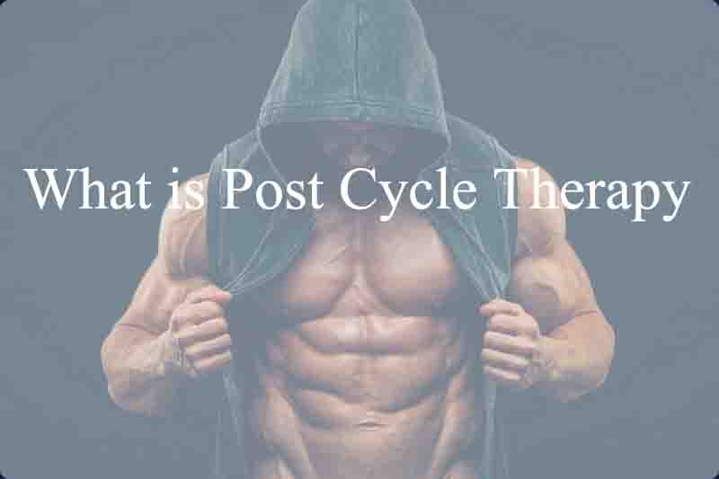 What is Post Cycle Therapy